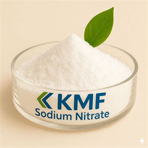 Sodium Nitrate Powder Manufacturers and Suppliers from Bharuch