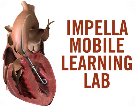 Impella Heart at Kristy Mulkey blog