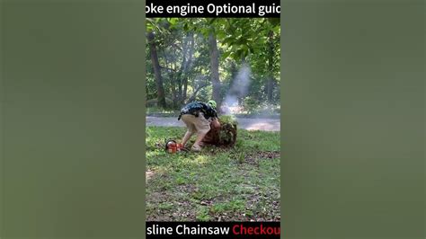 Image result for Neotec Ns892 Decomp Unit