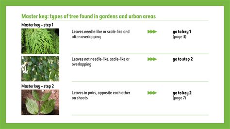 Image result for Tree Identification Guide With