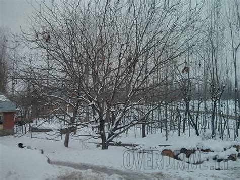 2014 Winter drive - preview - Overdrive