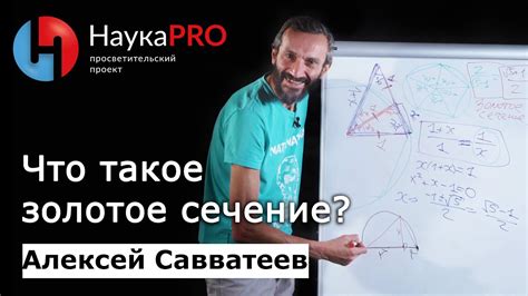 Золотое сечение в математике – математик Алексей Савватеев | Научпоп ...