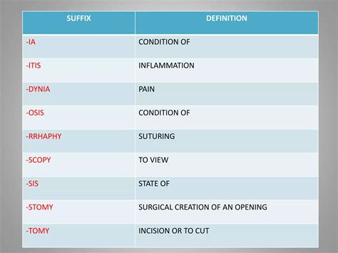 Digestive System medical Terminology | PPTX