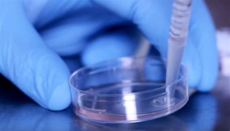 Image result for Isolated Tissue Sample