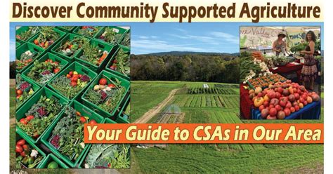 Community Supported Agriculture 的图像结果