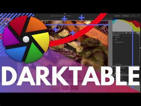 Image result for Darktable 3.8 Tutorial Light Table