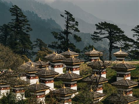 HIMALAYAN ECHOES TRAVEL (Updated 2026) All You Need to Know BEFORE You ...