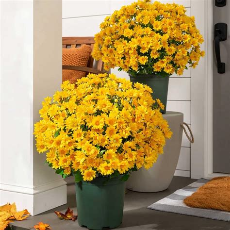 Artificial Fall Flowers for Outdoors Decoration Fake Mums Faux Plants ...