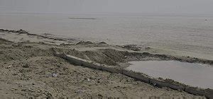 GREAT RANN OF KUTCH (2026) All You Need to Know BEFORE You Go (with ...