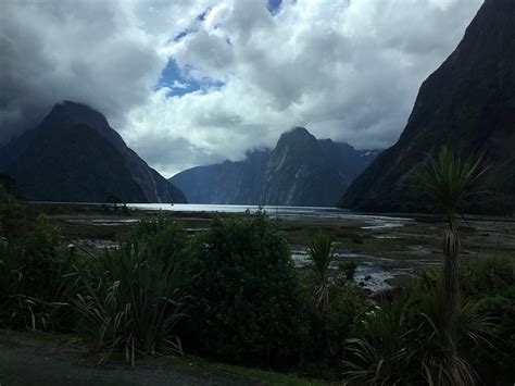 INTERCITY MILFORD SOUND DAY TOUR + CRUISE FROM QUEENSTOWN - All You ...