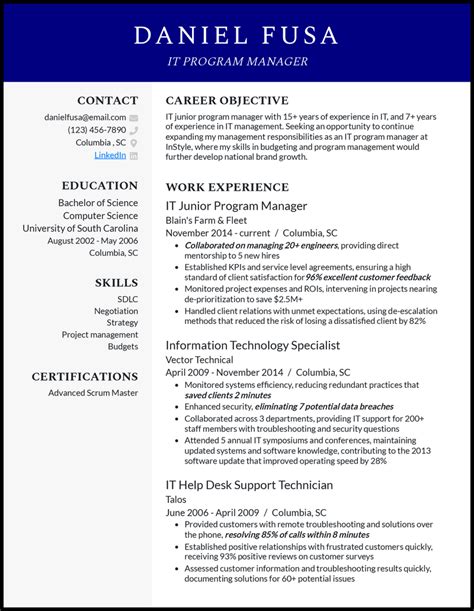 Image result for It Program Manager Resume Sample