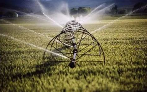 智能灌溉设备能取代滴灌吗？长远来看是必然！_种植