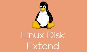 Image result for Extend File System Linux