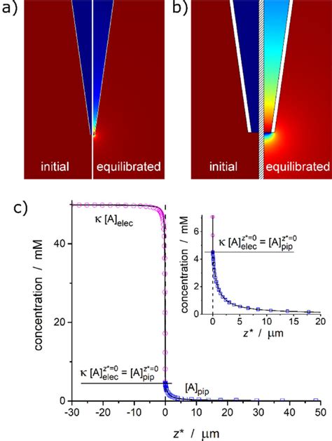 Image result for Cocentration Gradients