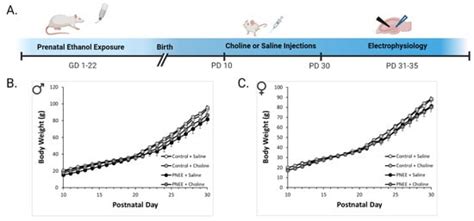 Nutrients | Special Issue : The Roles of Maternal and Child Nutrition ...