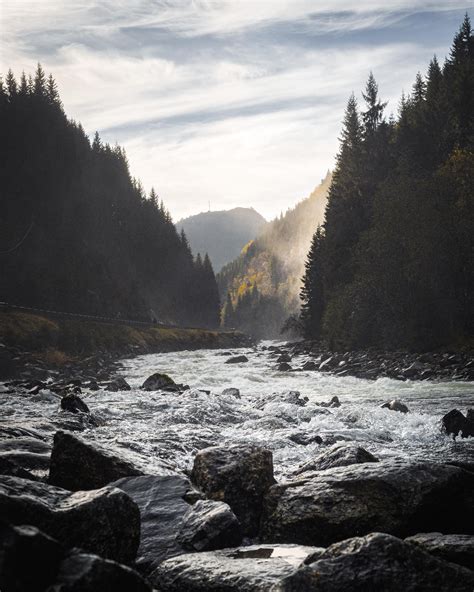 Birding with an E‑M10 Mark IV + Oly 100-400 : r/M43