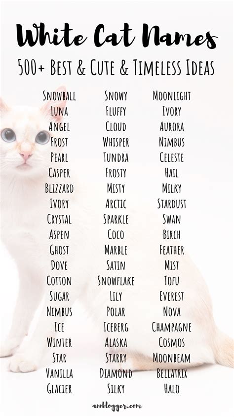 Cute Names For White Cats