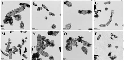 Bioengineering | Special Issue : Biologically Active Recombinant Proteins