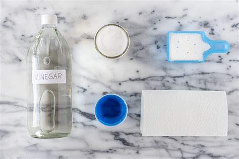 Cat Urine Remover Vinegar at Makayla Sleath blog