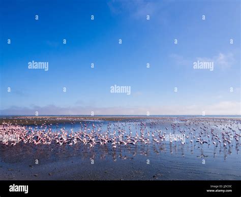 Image result for Text Normalization NLP
