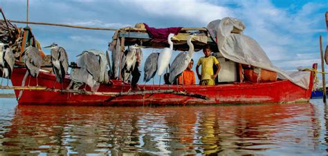 Can the Indus Waters Treaty Defeat Terrorism? | The India Forum