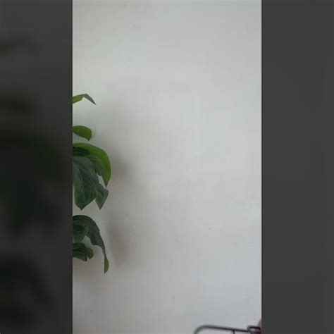 Benches & Chairs – Madras Prop Store