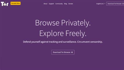 Image result for Tor Project Download
