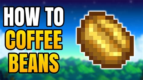 How To Get Coffee Bean In Stardew Valley - YouTube