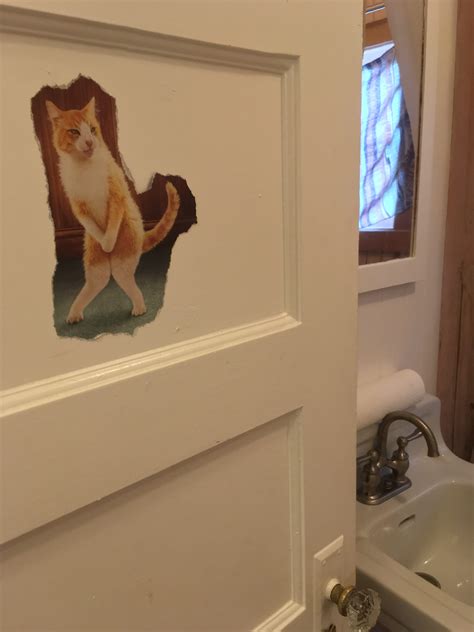 Caturday felid trifecta: Cat-friendly hotels; cat tour guides; cats ...