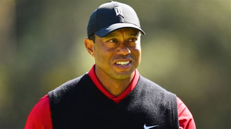 Tiger Woods 的图像结果