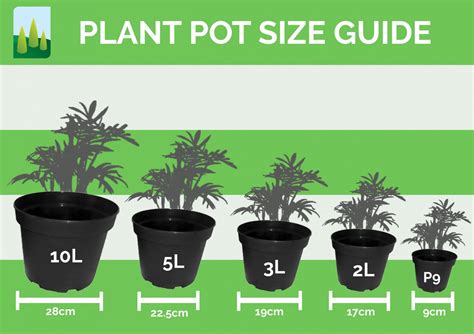 Plant Pot Size Guide - Commercial Nursery | Johnsons Of Whixley Home ...