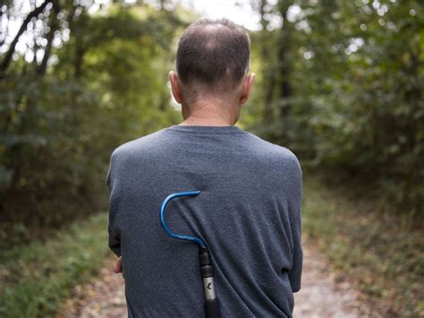 No cars, lots of slithering snakes on Illinois' "Snake Road"
