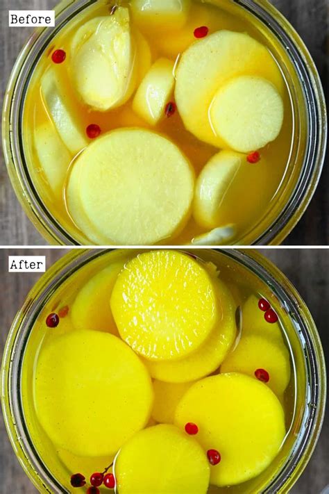 Quick Pickled Daikon Radish - Alphafoodie