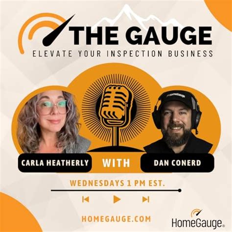 HomeGauge Inspection Software - The Gauge : HomeGauge: Amazon.in ...