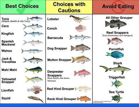 What is the best Caribbean fish to eat? [2025] | QAQooking.wiki