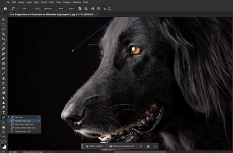 Image result for Advanced Photoshop Tutorials