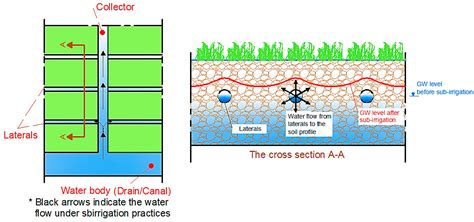Assessment of Subsurface Drainage Strategies Using DRAINMOD Model for ...