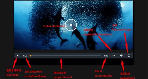 JavaScript Video 9 00 Second Download 的图像结果