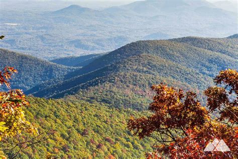 Springer Mountain: Hiking & Backpacking Guide