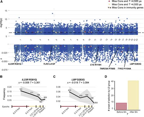 Image result for Negative Selection