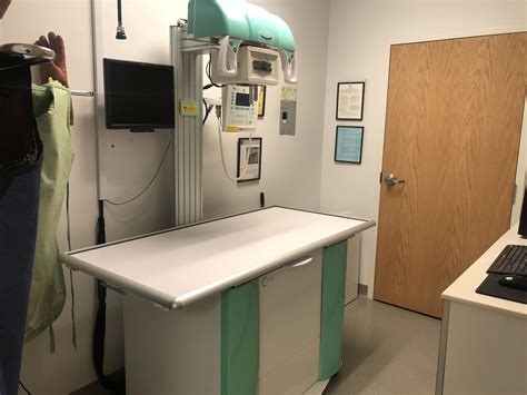 Digital Radiography | Veterinarian in Smithfield, VA | Smithfield ...