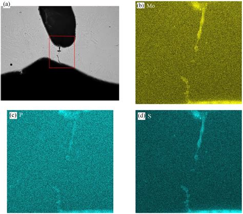 Study on the Dynamic Evolution Behavior and Failure Mechanism of Burn ...