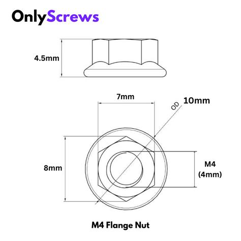 M4 Flange Nut SS304 (Dia. 4mm) – OnlyScrews
