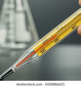 Image result for Temperature Scale Experiment