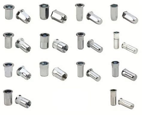 Insert Nut - Stainless Steel Insert Nut Wholesale Trader from Kundli