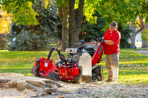 Image result for Tree Stump Grinder