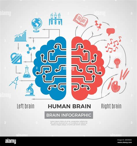 Learning Brain Picture 的图像结果