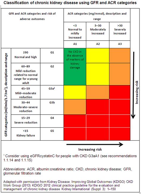 Kidney - Location, Function, Disease, Transplant & Kidney Problems