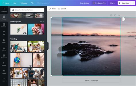 Easily Crop Images Online With Canva