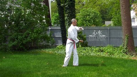 Tai Chi Flow Motion 的图像结果